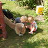 Helping the alpaca find tasty grass