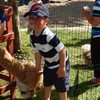 "Spidey" pets the alpaca